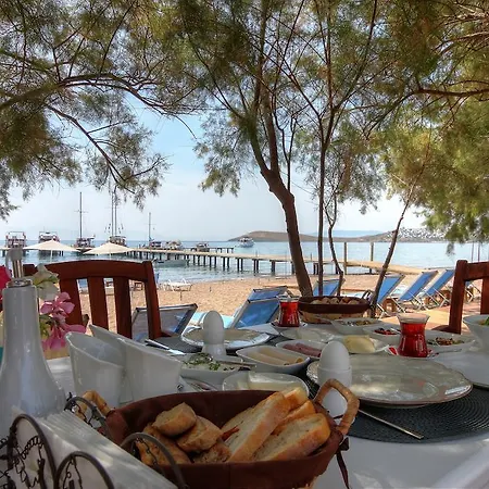 Bed and breakfast Meggs Bodrum Restaurant & 3*