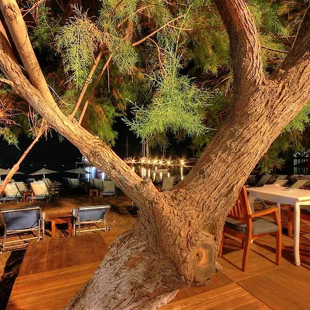Meggs Bodrum Restaurant & Oda ve Kahvaltı