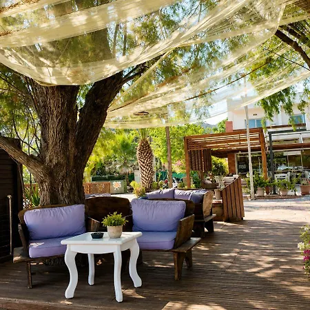 Meggs Bodrum Restaurant & Bed & Breakfast